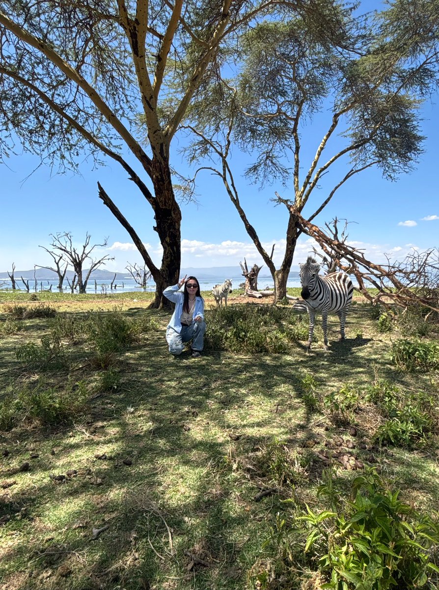 Medge1010's tweet photo. 现实如山 而我浪漫如云
#kenya #naivashalake #肯尼亚 https://t.co/BXPvXMMD1Y
