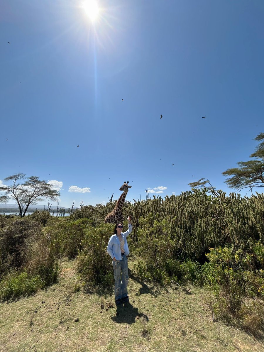 Medge1010's tweet photo. 现实如山 而我浪漫如云
#kenya #naivashalake #肯尼亚 https://t.co/BXPvXMMD1Y