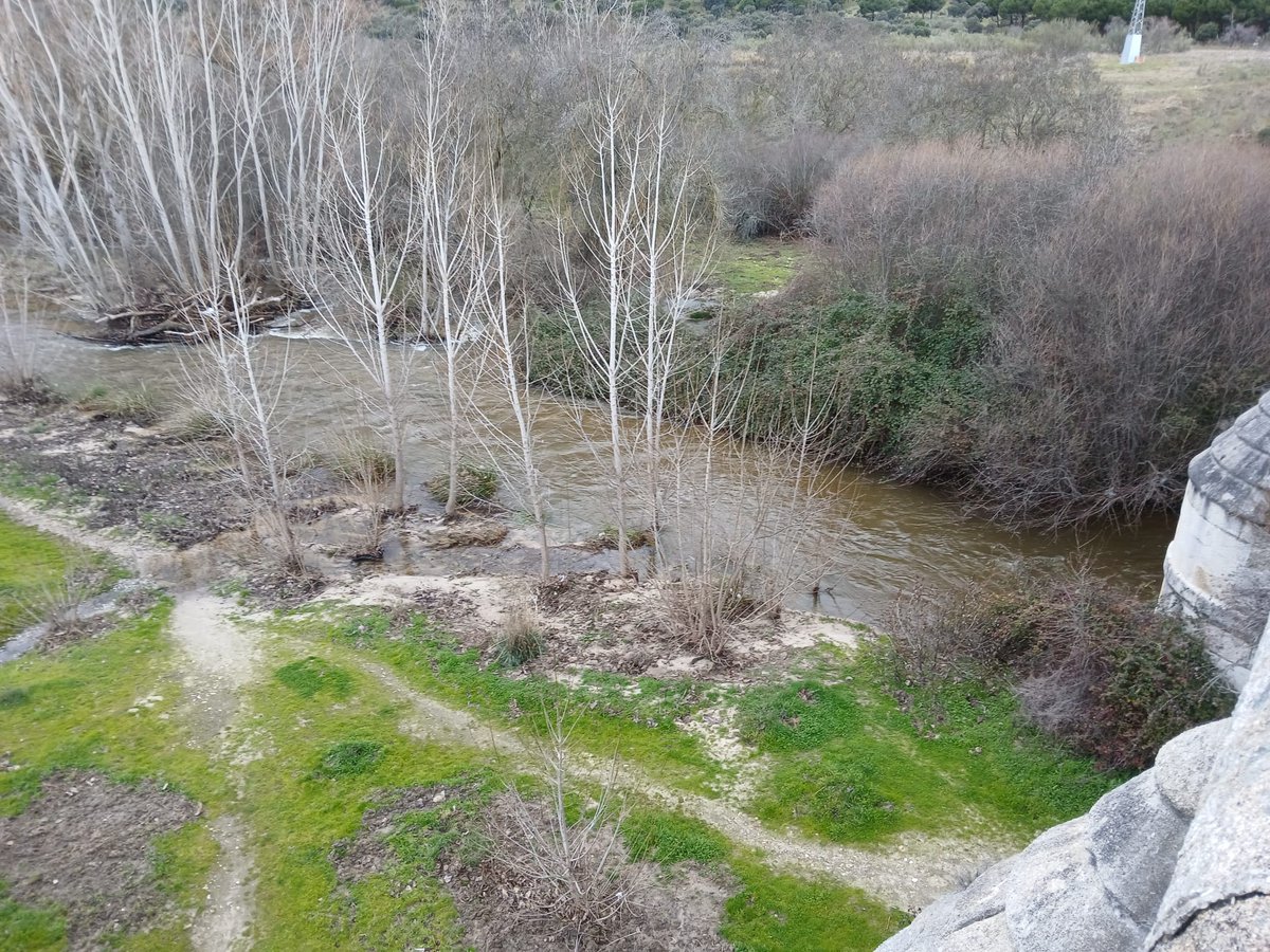 PCivil Las Rozas tweet media