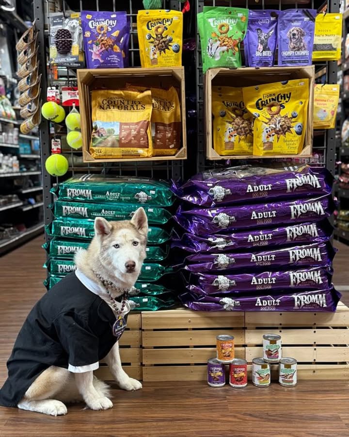 HWFeed's tweet image. Beads, bowties, and bark-tastic bites! 🎭 Skip the king cake and grab pet-safe Mardi Gras treats and apparel at Hollywood Feed. Let the good times roll!

Shop Now: bit.ly/3NY83Px

#hwfeed #MardiGrasPets #PetSafety #HealthyPets