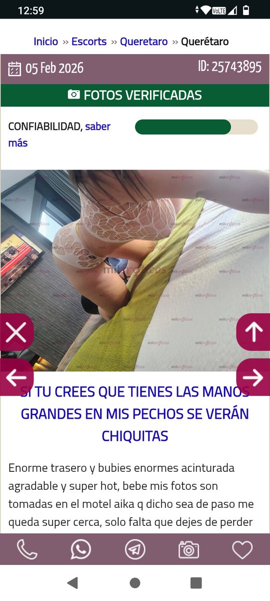 CalidadQro tweet media