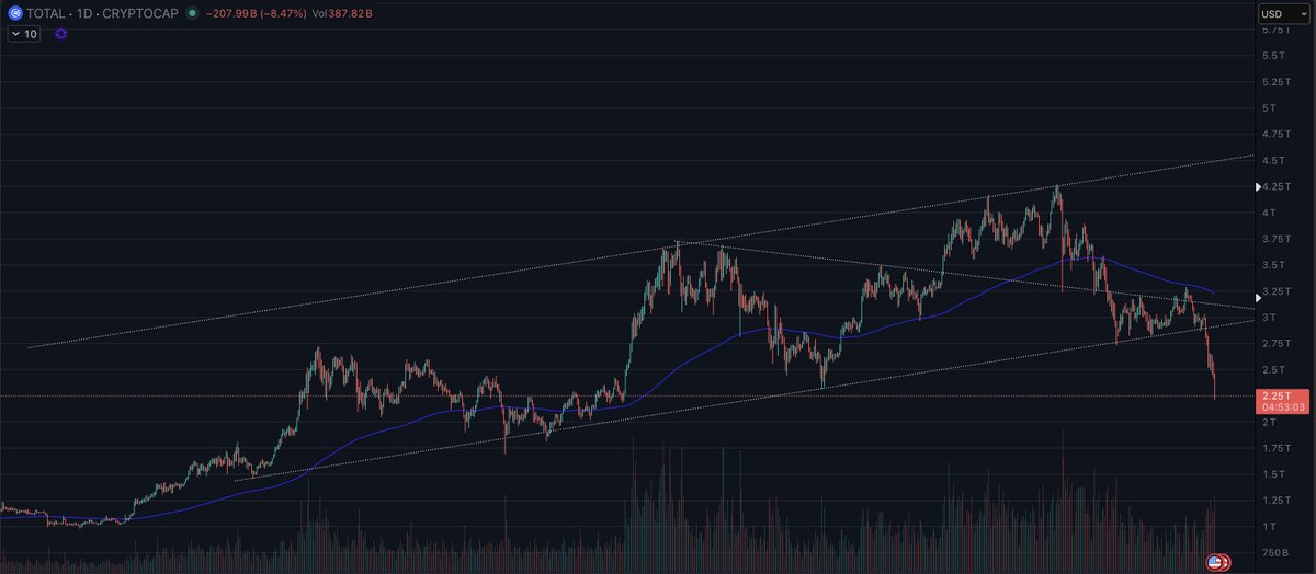 THE SHORT BEAR tweet media