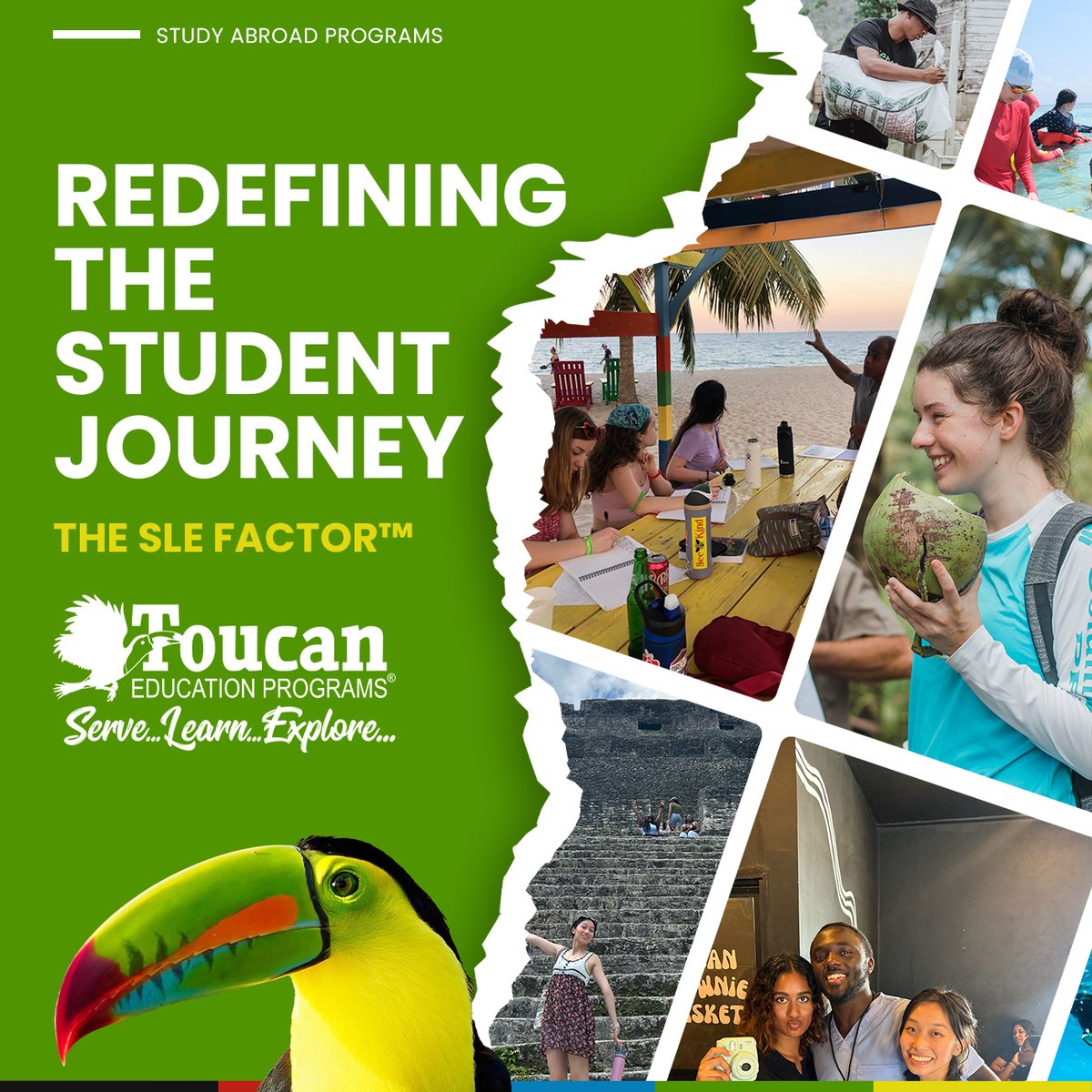 Toucan Education Programs tweet media