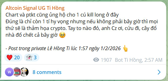 Lê Hồng Ti 🟢 tweet media