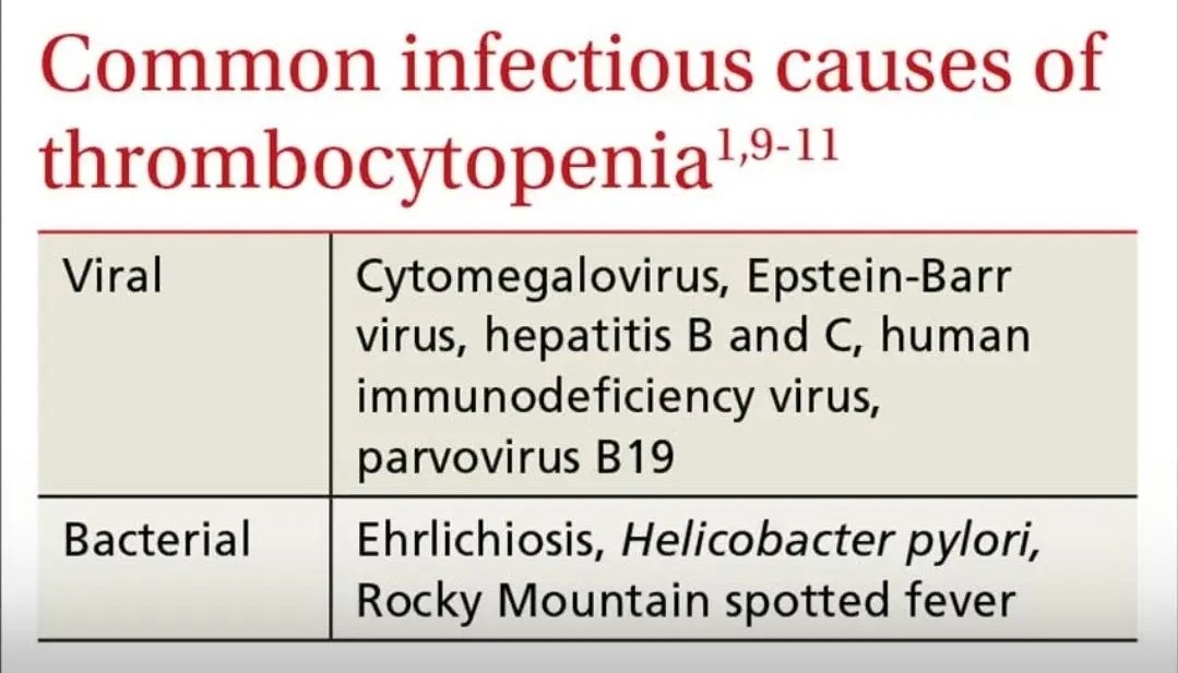 Chaudhary Shafiullah (@chshafiullah15) on Twitter photo 