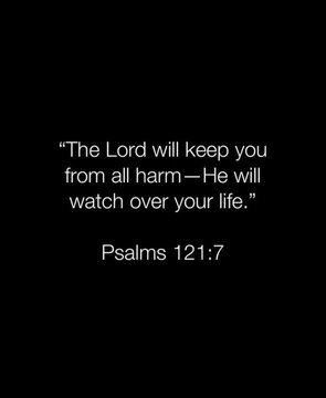 Bible 365 tweet media