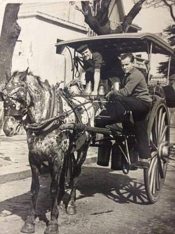 Centro Argentino de Datos tweet media