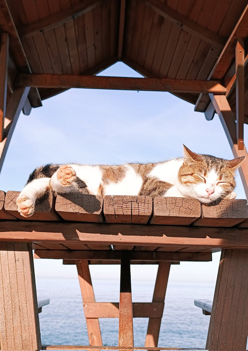 Tembellik hakkını kullananlarda bugün