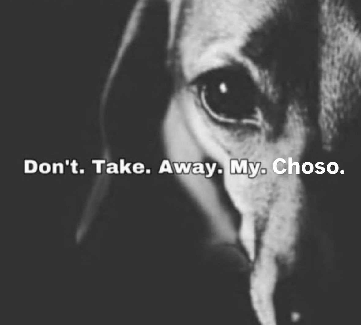 Bald Choso (adi) (@_elchoso) on Twitter photo 