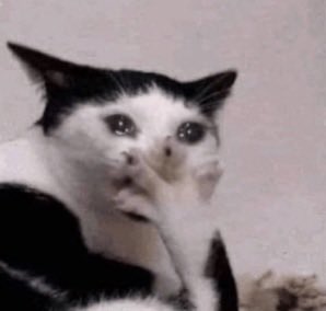 plasticbag444's tweet photo. breakup so tragic the entire gang is mourning my ex https://t.co/MoACmxzPEd
