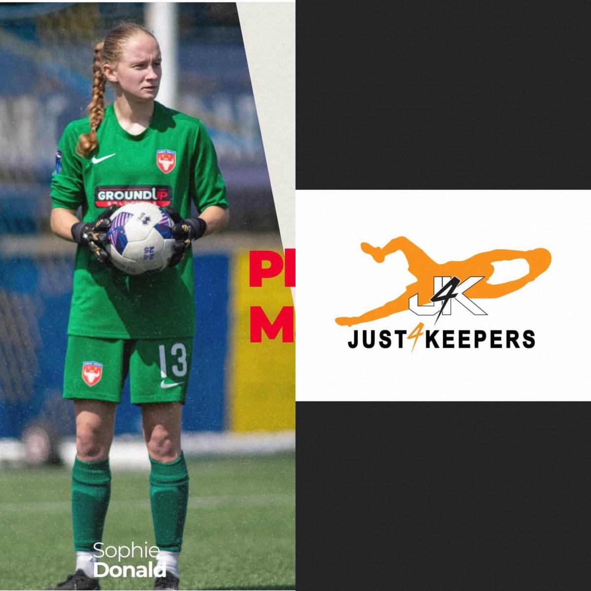 Scott Healey tweet media