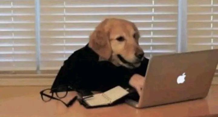 Fathi Toha tweet media