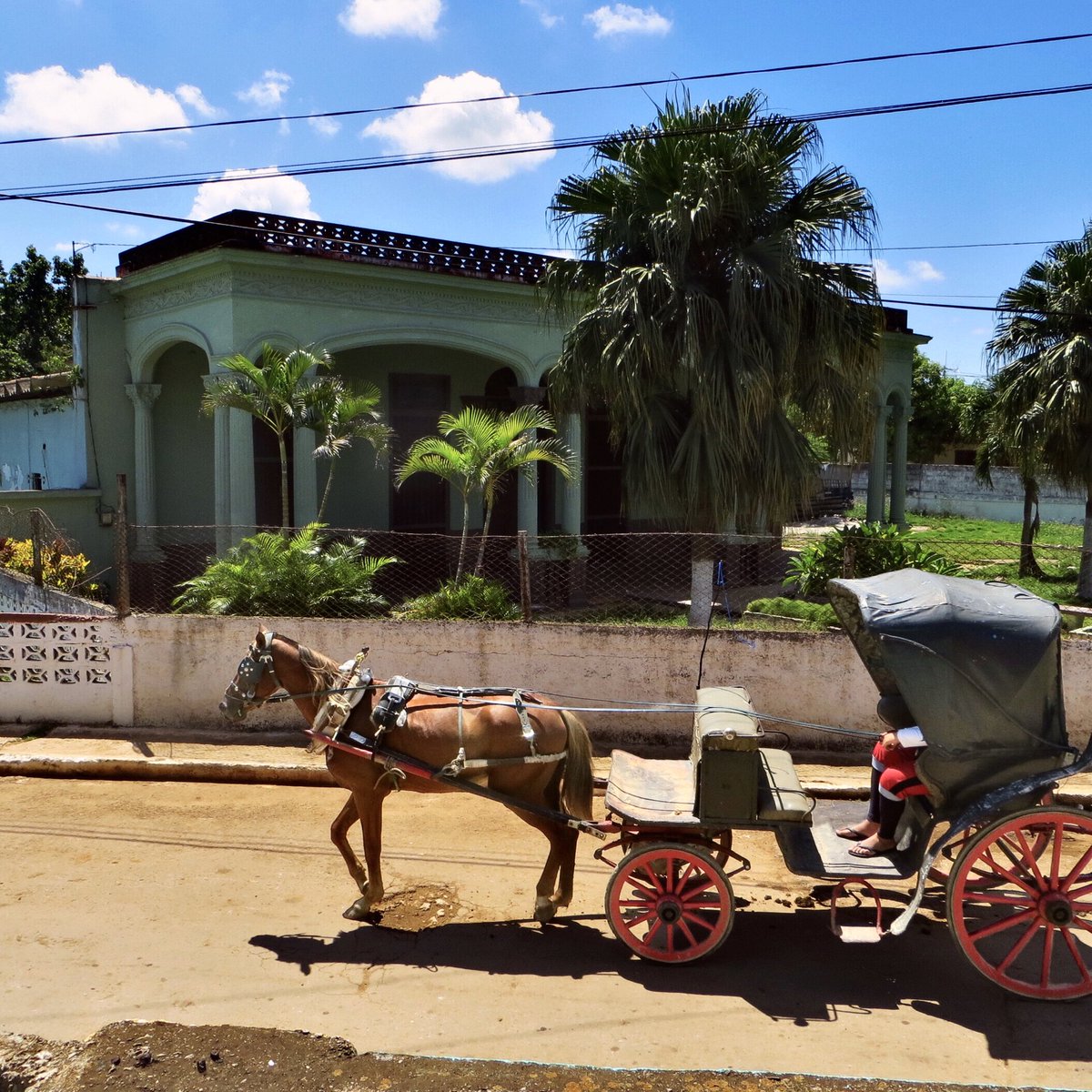 MicRic290's tweet photo. |🇨🇺 Rural train rides in Cuba offer a nostalgic, slow-paced journey through the countryside with views of sugarcane fields and small villages, often using vintage locomotives.
🚂 Voyager en train à travers la campagne de Cuba.
#DailyPictureTheme #Diptych
Theme: #TakenFromATrain https://t.co/vu2PVVzE14