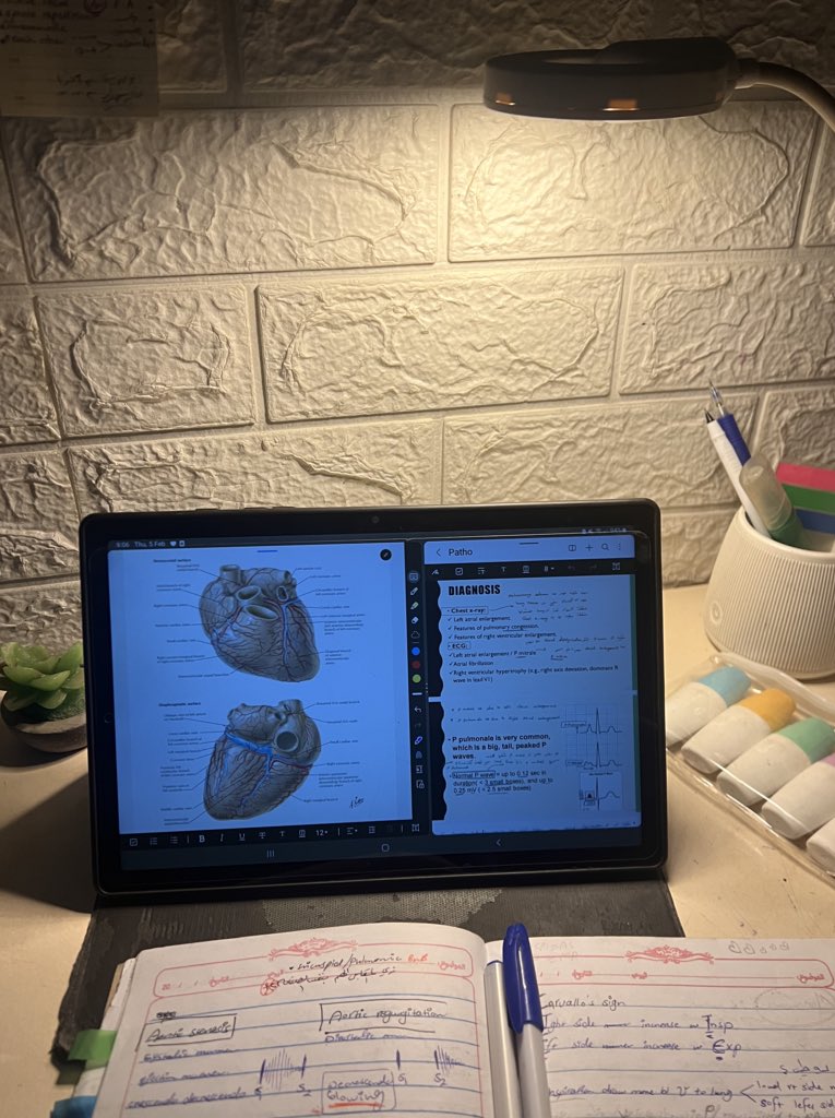 Sorry, Israel.

still alive.
Still dreaming.
Still fighting.