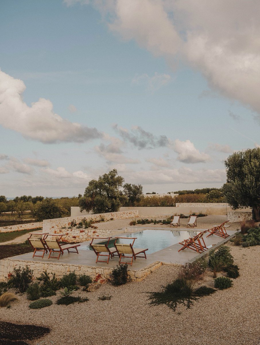 The Project. tweet media