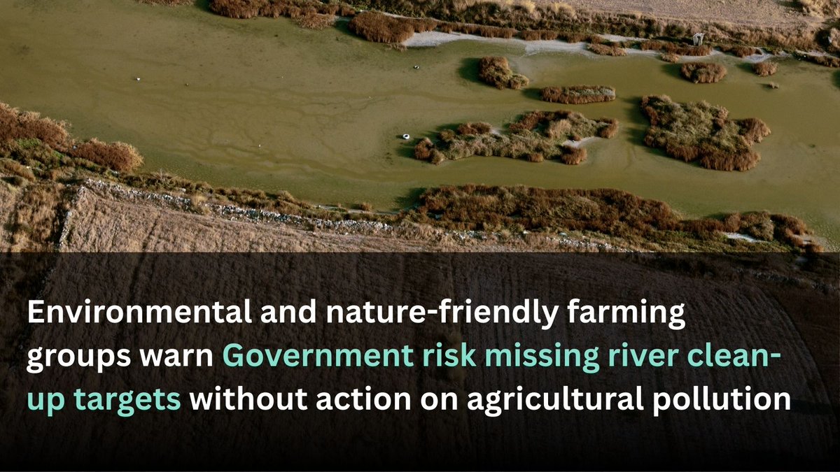 "If ministers are serious about clean rivers and nature recovery, tackling agricultural pollution must be a top priority - not an afterthought."

Leading environmental and nature-friendly farming groups have written to <a href="/DefraGovUK/">Defra UK</a> calling for urgent action on agri-pollution.

You