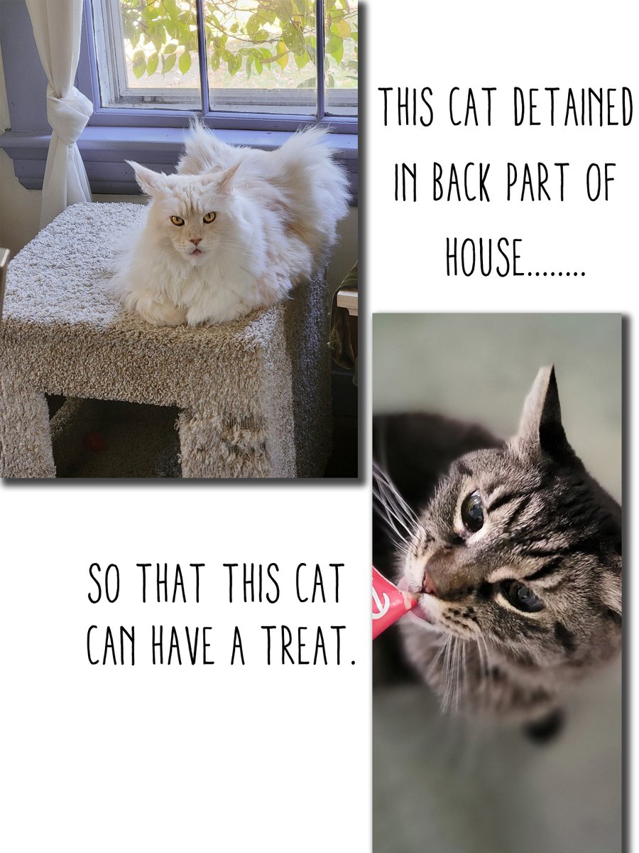 Mindy Sommers (Aka Sasha Art Studio) tweet media