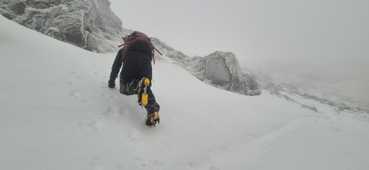 Fell Top Assessors tweet media