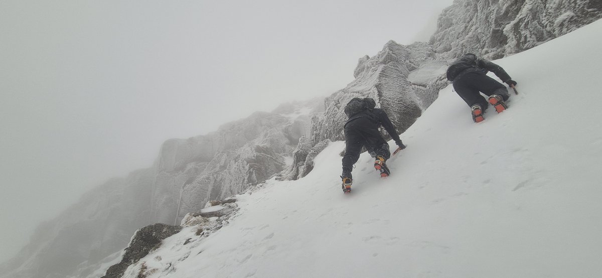 Fell Top Assessors tweet media