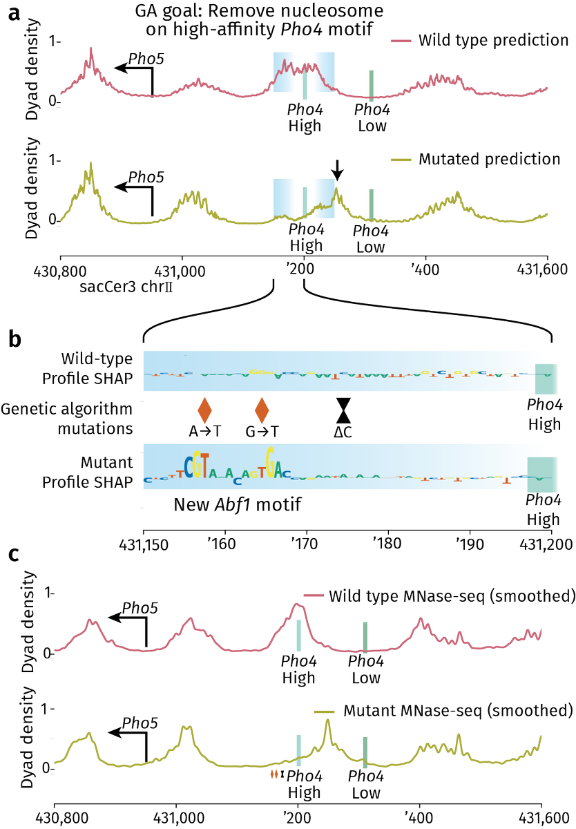 ZeitlingerLab tweet media