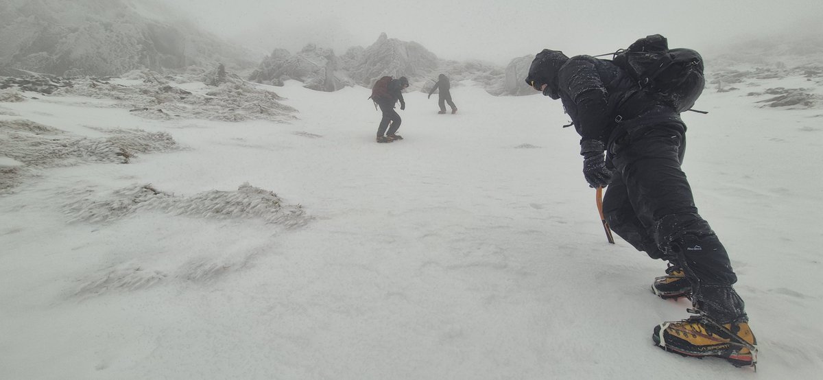 Fell Top Assessors tweet media