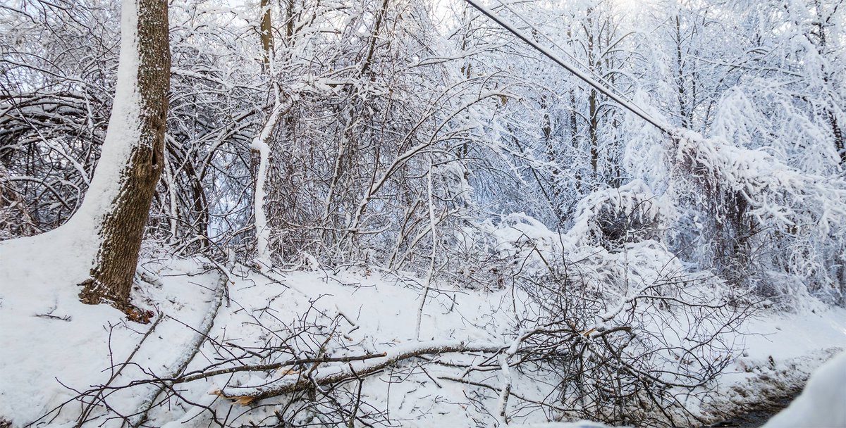 Secretary Wright’s letter shows a big gap in our grid: backup generation you can’t see is backup you can’t use. Ensure your backup power is ready and learn how to turn your backup generation into a reliable grid asset. Contact us today!

hubs.ly/Q041SHtb0

#powergeneration