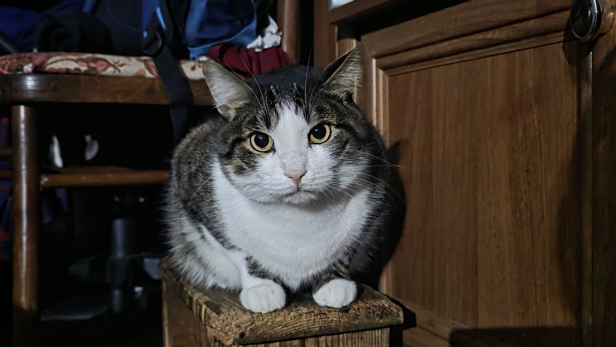 Tory Jam 🇺🇦🕊️ tweet media