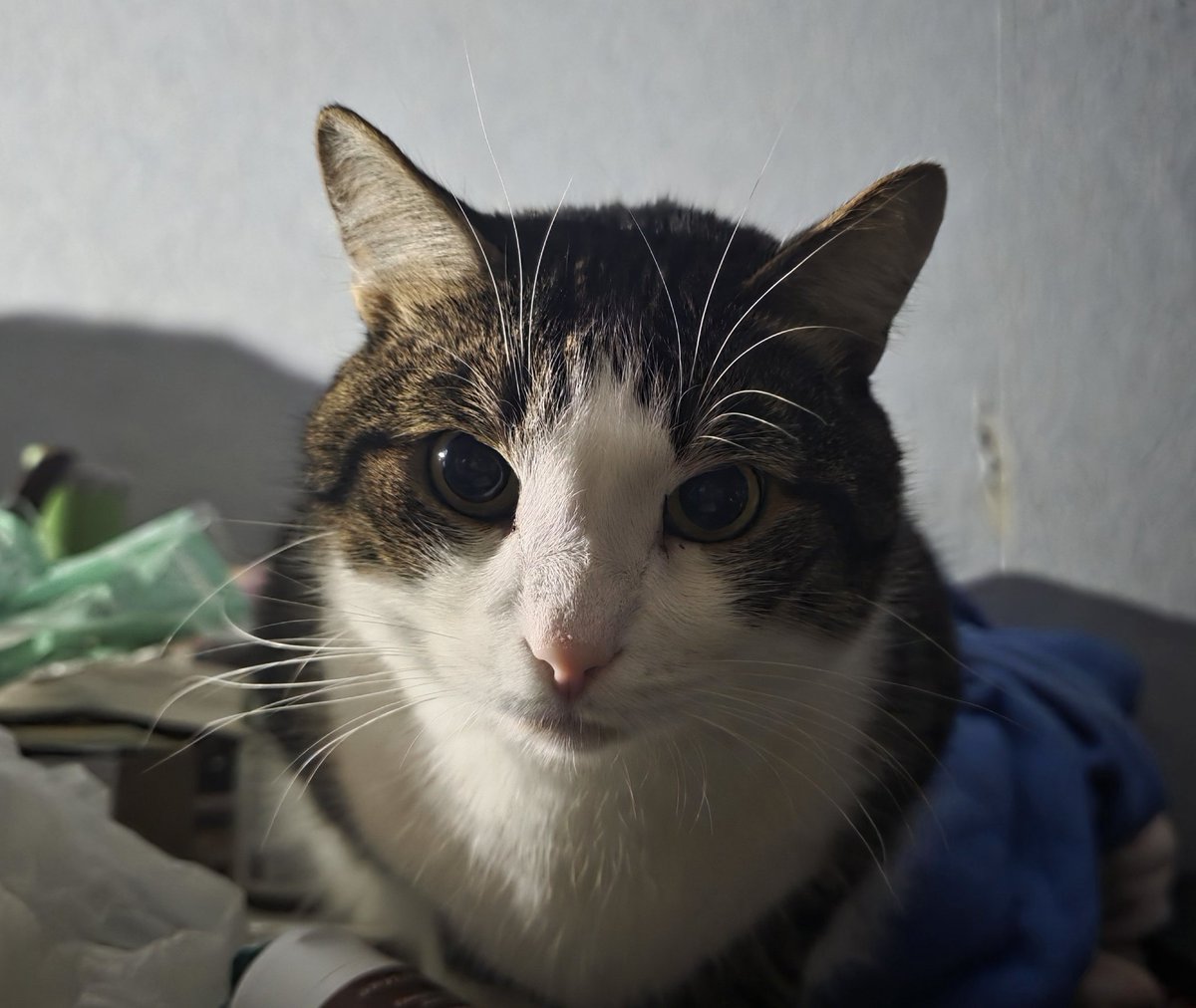 Tory Jam 🇺🇦🕊️ tweet media