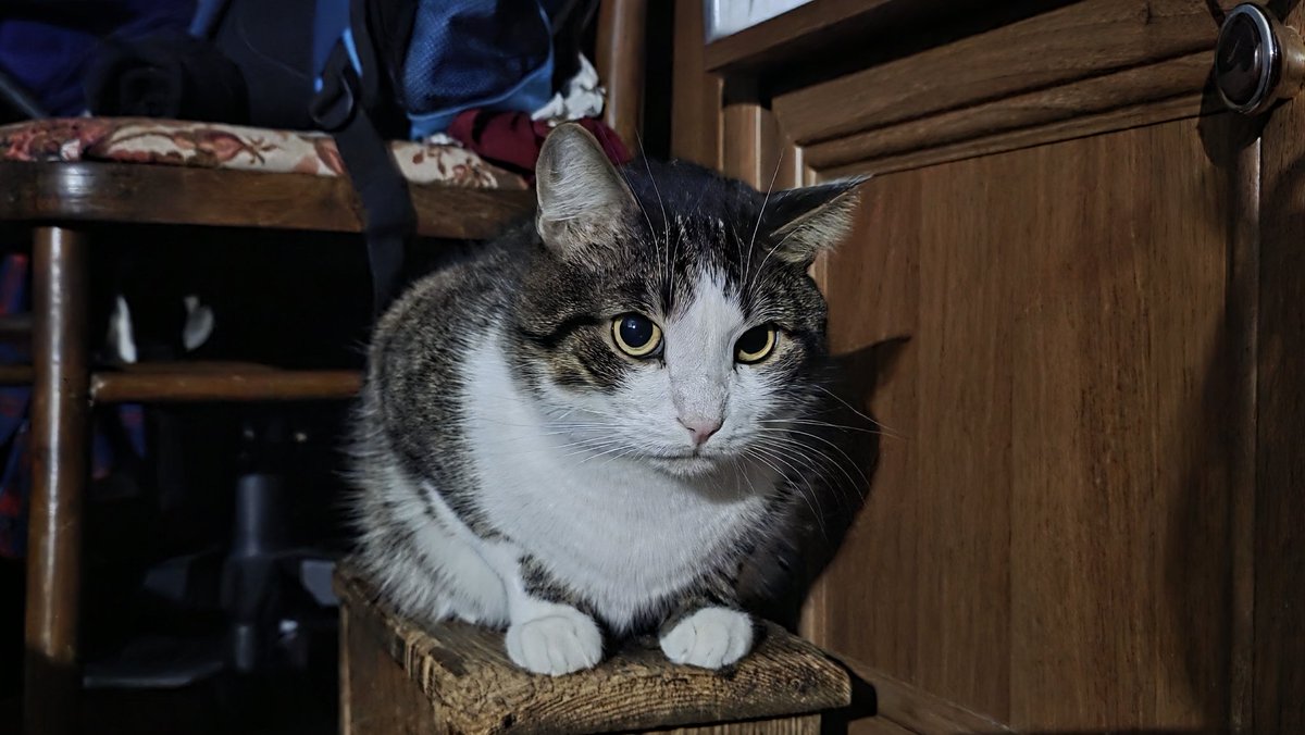 Tory Jam 🇺🇦🕊️ tweet media