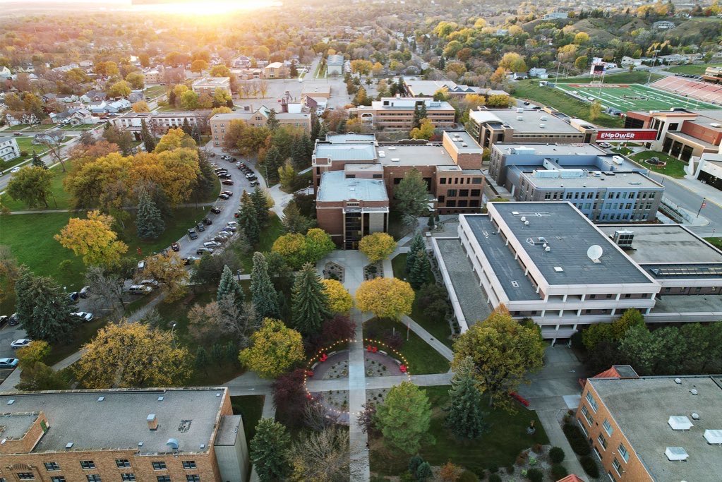 Ian Shields tweet media