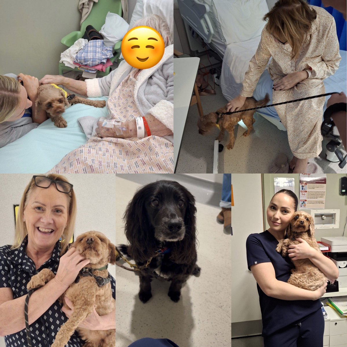 Heart Care Unit tweet media