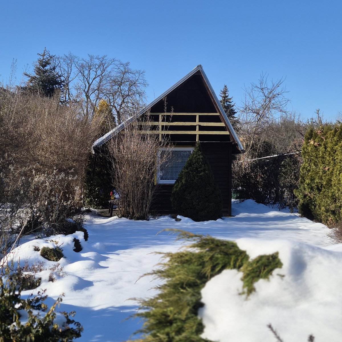 🌱Lovely_Plot 💅🇵🇱🇬🇧🪷🐞🐝 tweet media