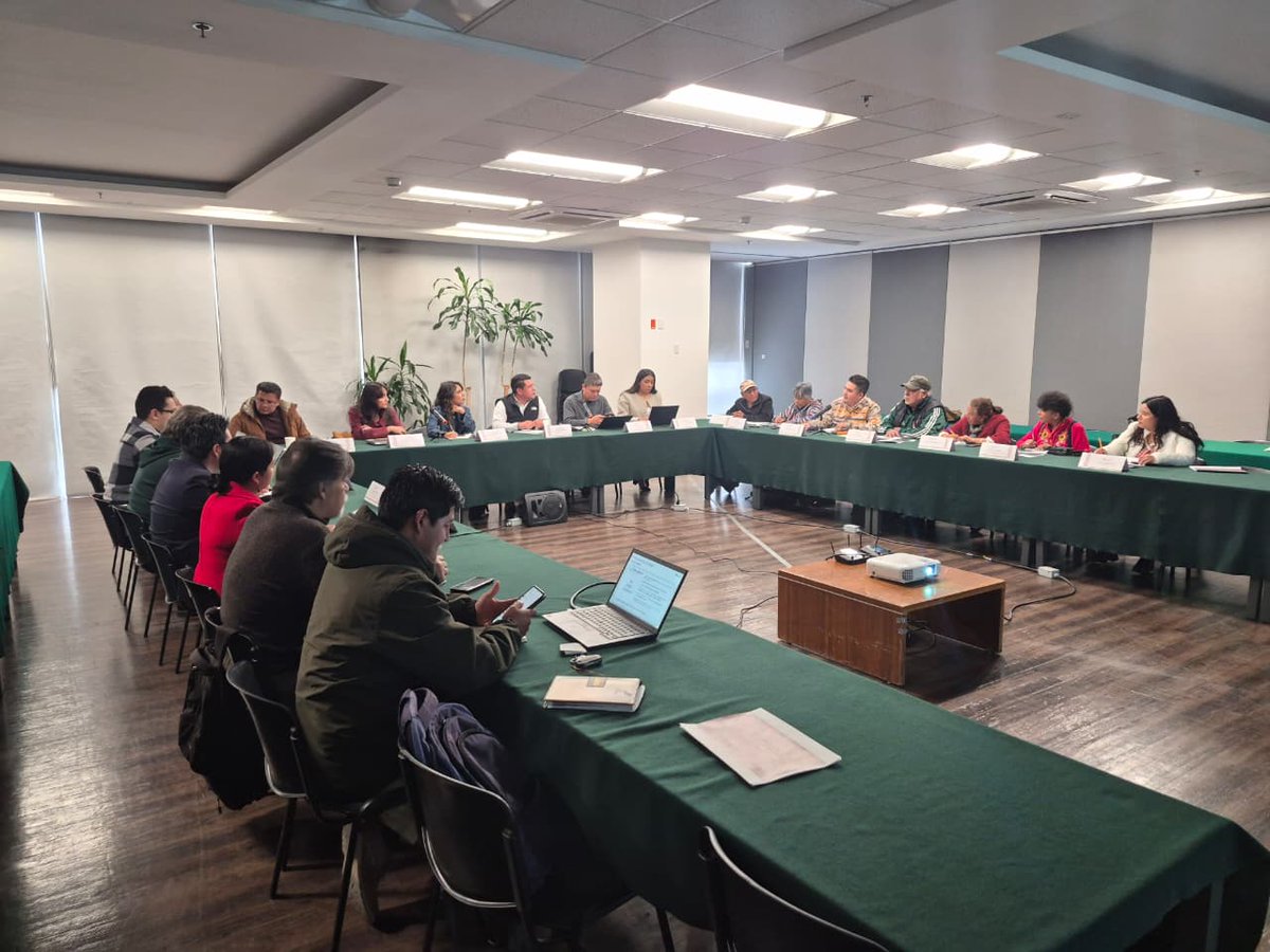 BioRestAmb's tweet photo. La unión hace la fuerza: Equipo de la #SBRA, @CONANP_mx , @PROFEPA_Mx y @alimenbienestar se reunieron para definir rutas de acción y avanzar en la restauración ambiental y protección de los ecosistemas, en el marco del Plan de Justicia para #Atenco.
#PNRA https://t.co/0yvNIUTSHV