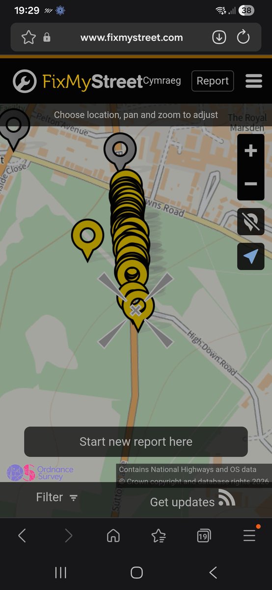 Allison Marsh tweet media