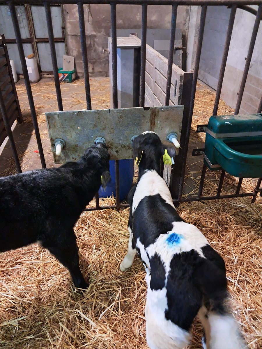 Willie Carroll tweet media