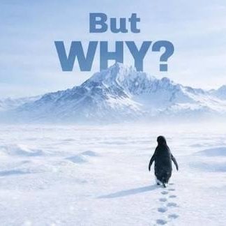 Nihilist Penguin tweet media