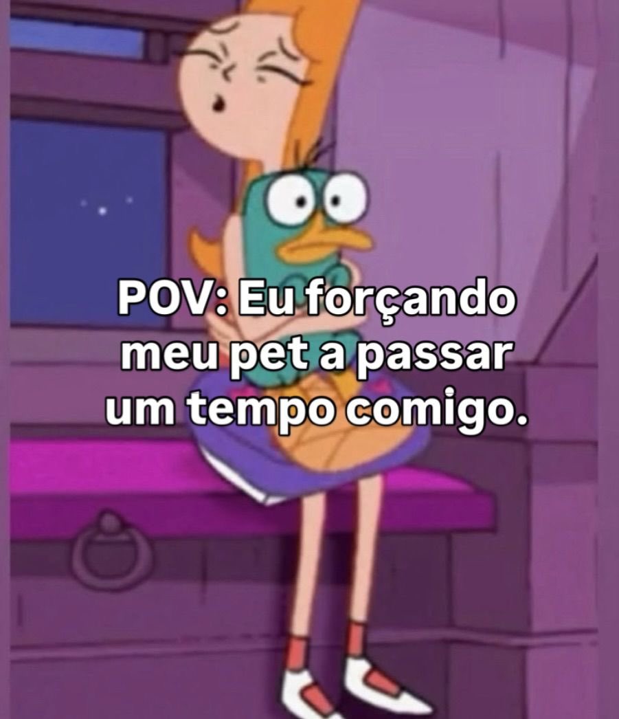 shitpostverdade's tweet image. 