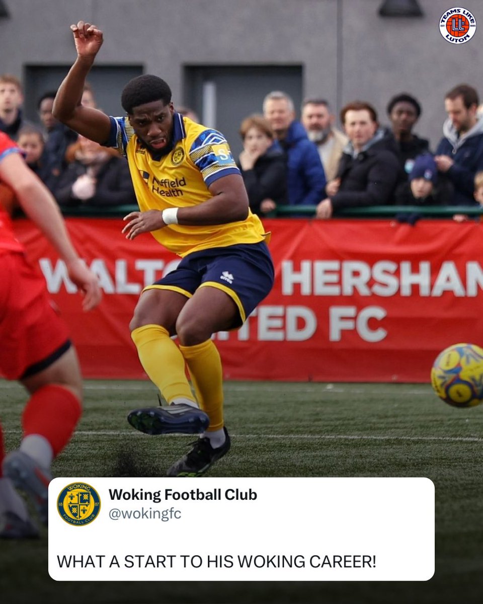 TeamsLikeLuton tweet media