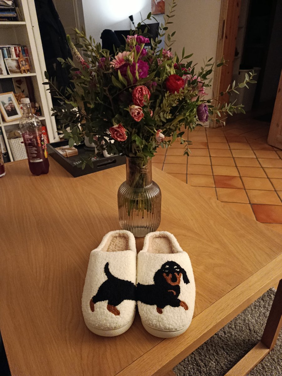Not gonna brag, but i have the best bf ever 🌝

#boyfriend #Flowers #wienerdog #dackel