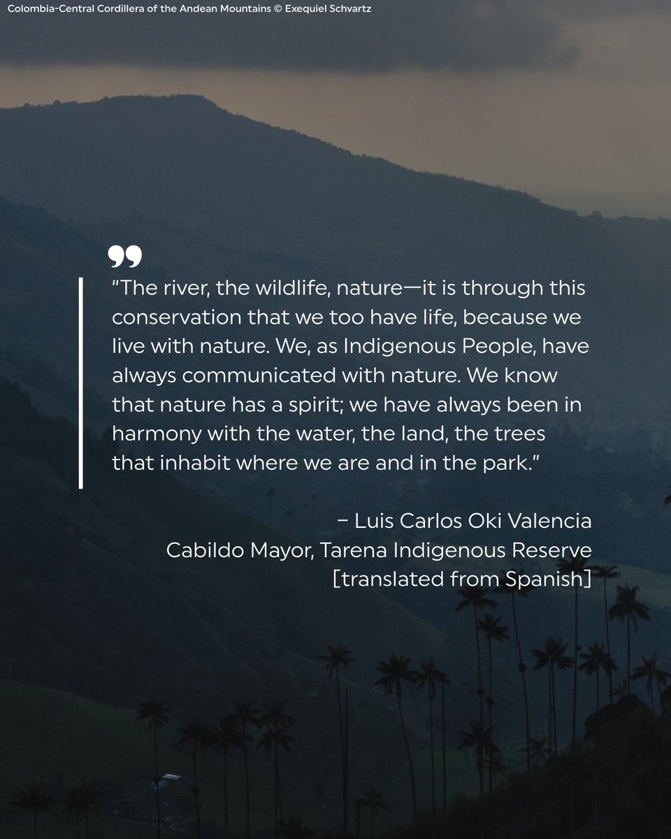 Rainforest Trust tweet media