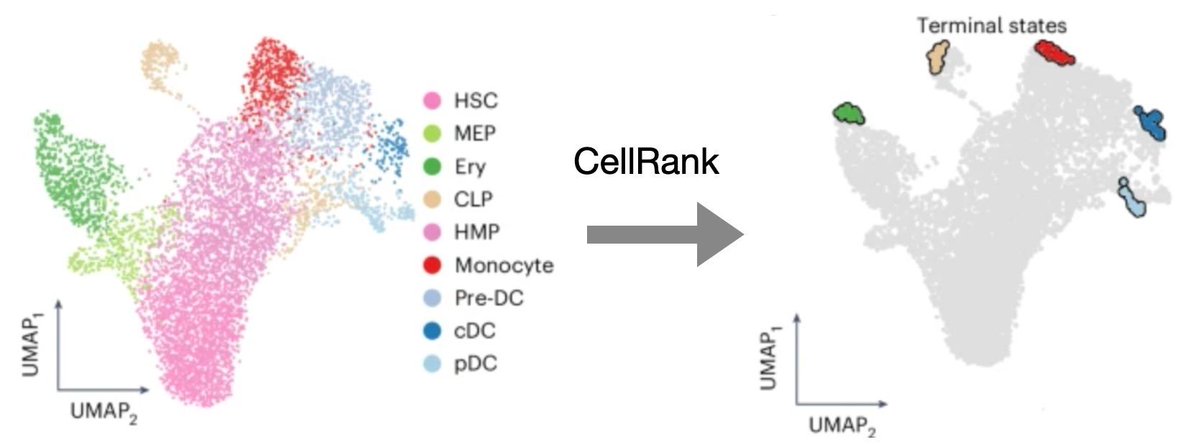 Fabian Theis tweet media