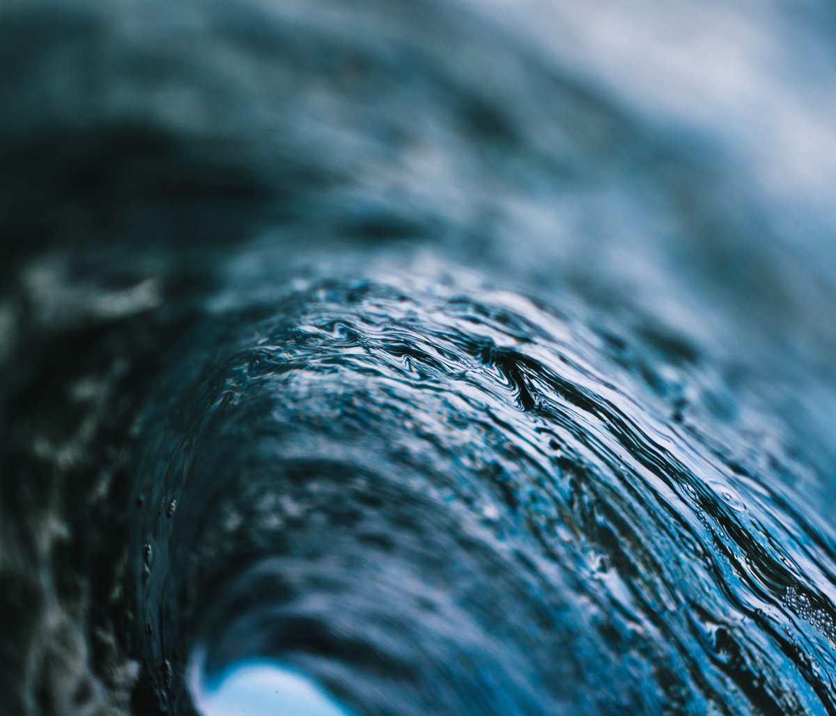 The Surfer's Journal tweet media