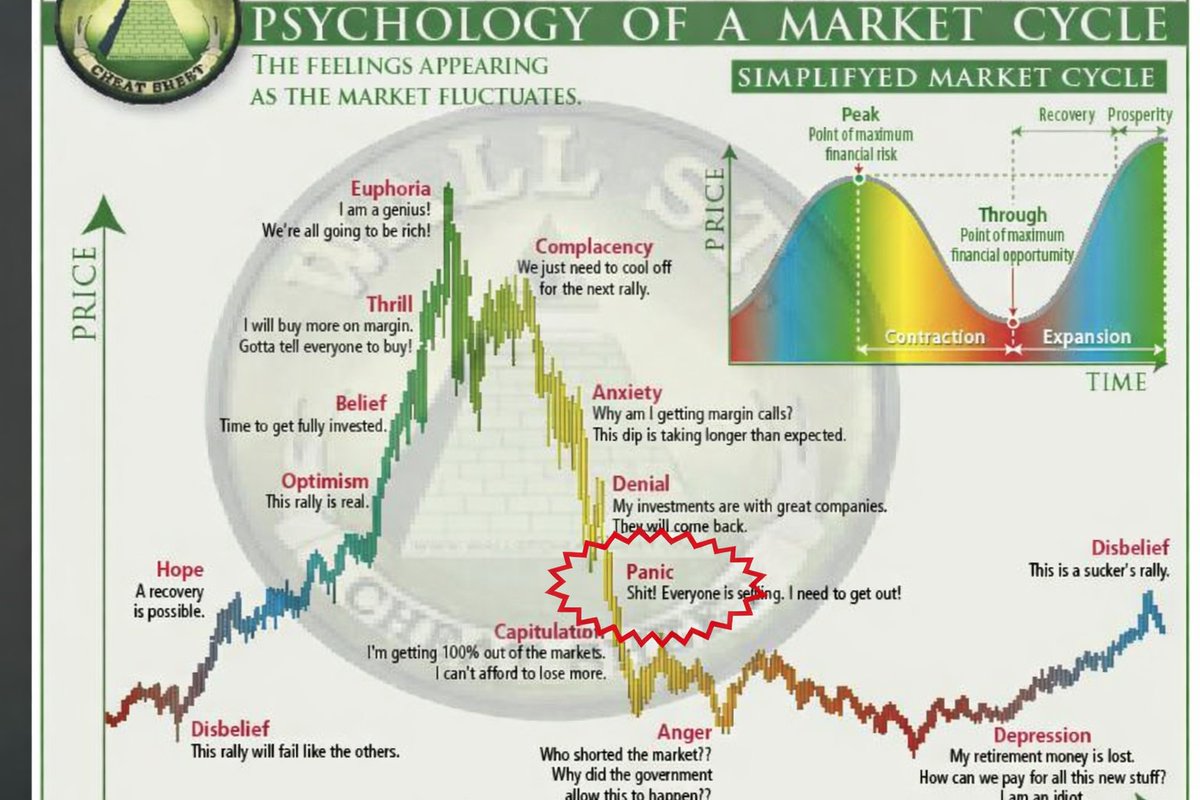 MCO Global DE tweet media