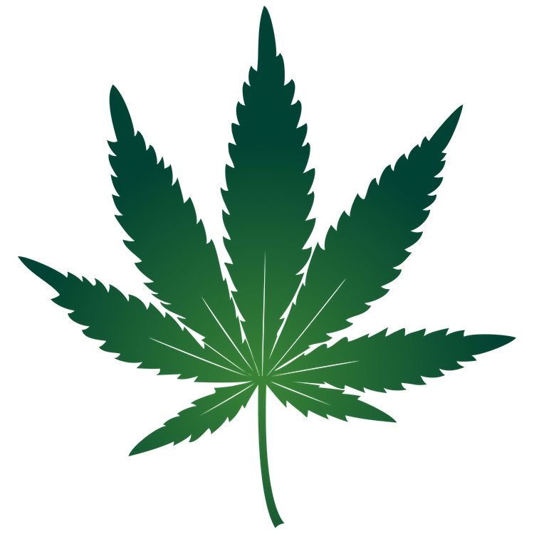 HoopsCrave's tweet image. Coca-Cola is reportedly testing a cannabis-flavored beverage.