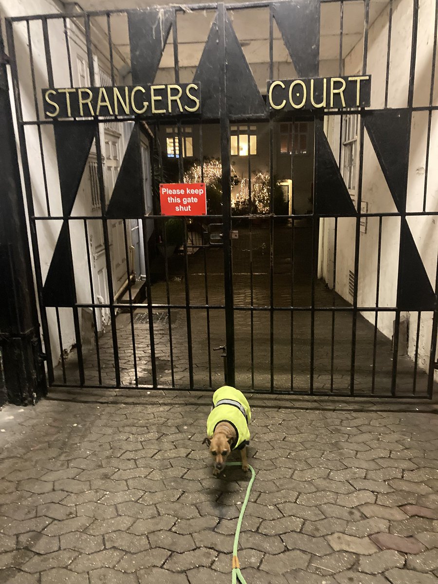 PoochManor's tweet photo. #thursgate https://t.co/EtBK4XsQSC