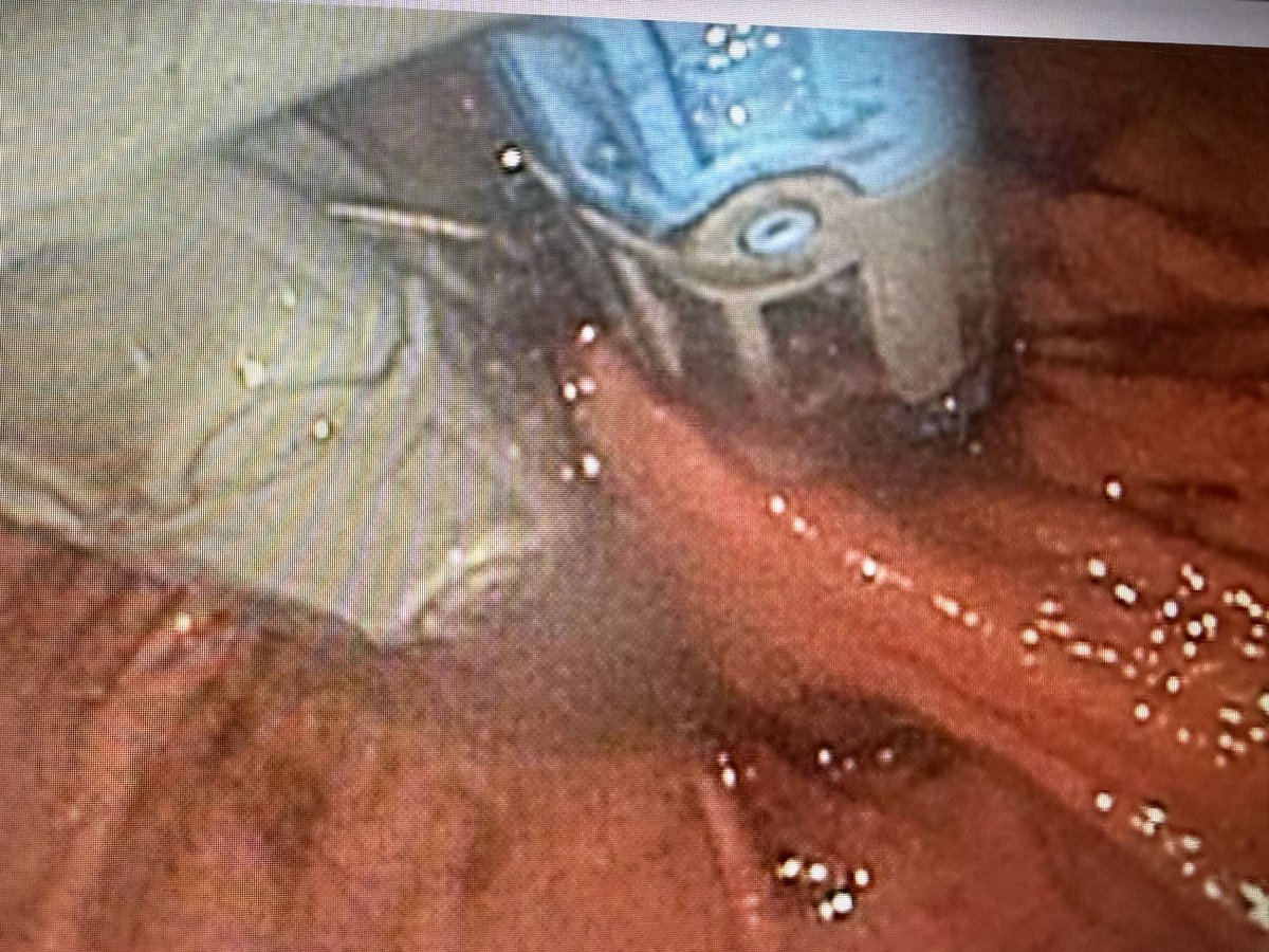 Benjamin Tharian tweet media