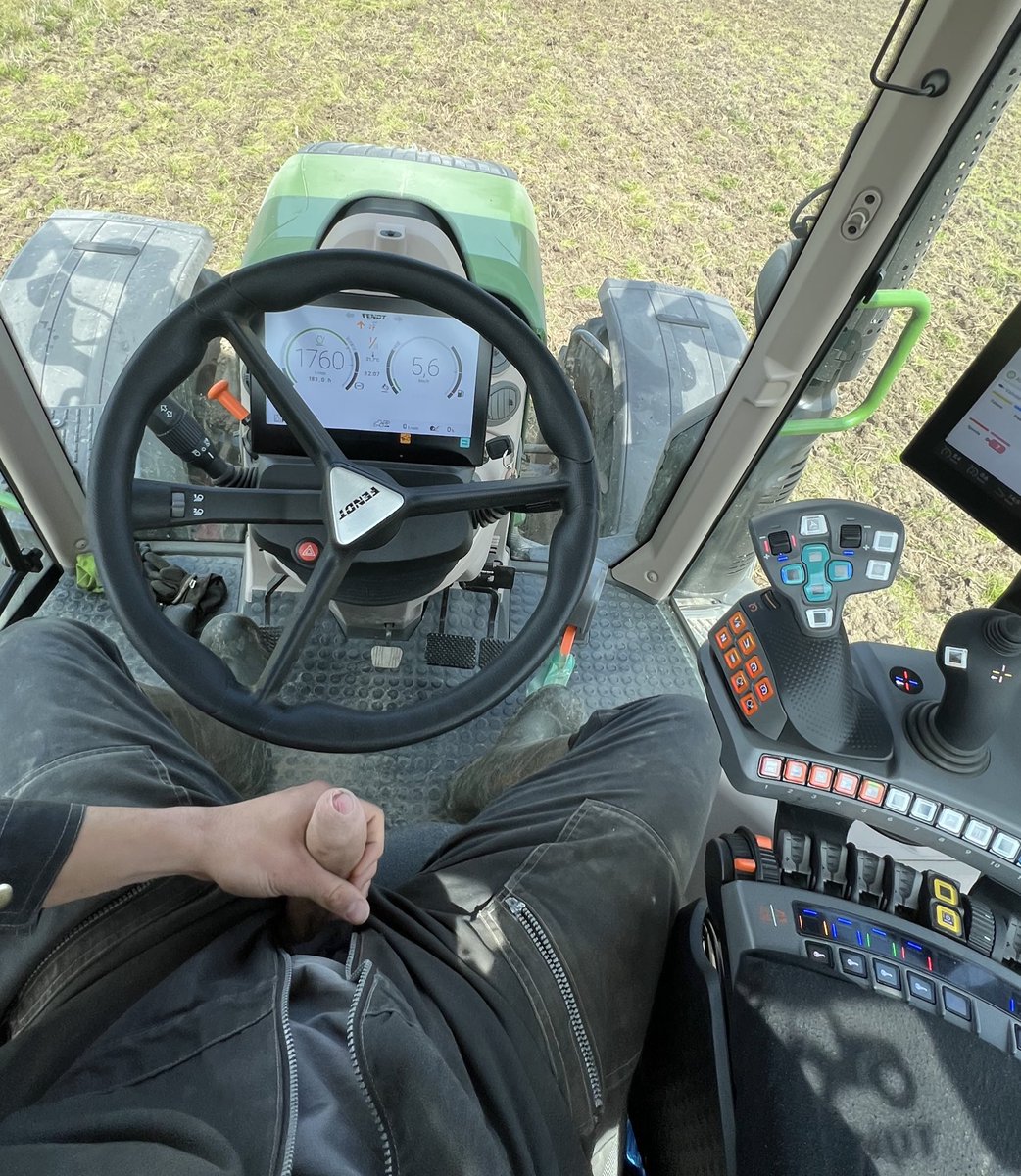 Cattledog Wyatt 🔜 tweet media