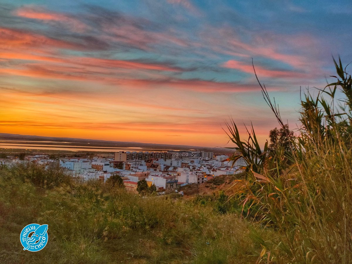 Más de Huelva que un choco 🐙 tweet media