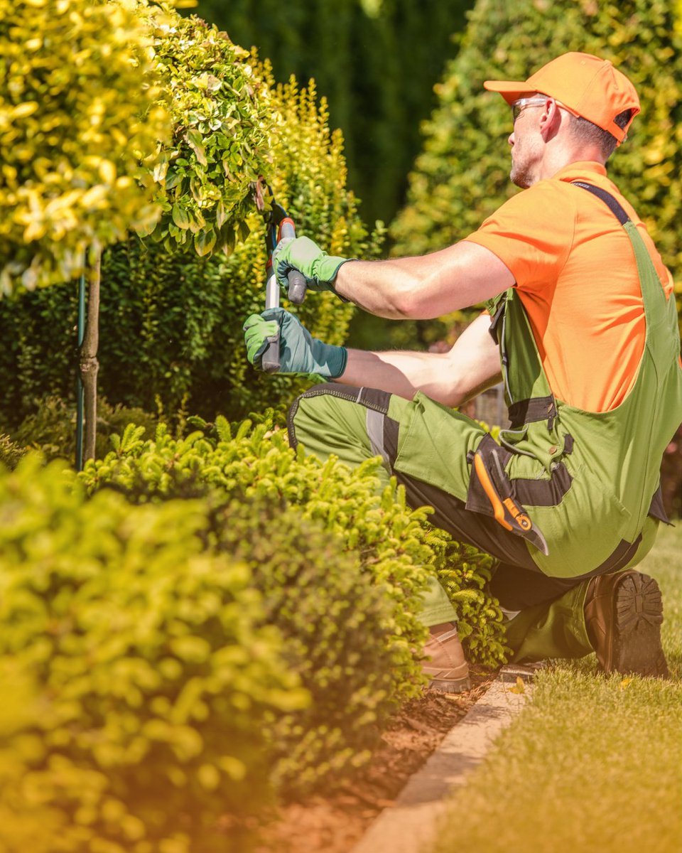 ServiceBox tweet media