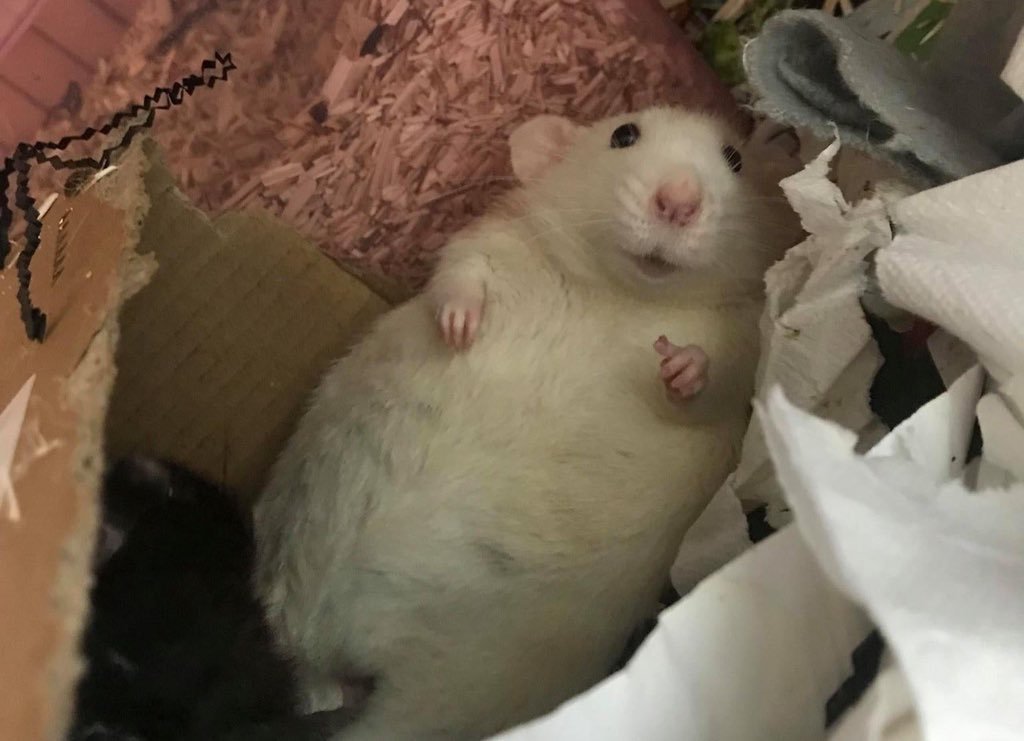 How's everyone doing?